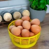 Plastic mand voor Dam 5L, geel - 8 ['plastic mand voor wijnballon', ' plastic mand voor ballon', ' plastic mand voor wijnballon', ' mand voor wijnballon', ' container voor ballon']