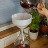 Plastic trechter fi20cm - 4 ['trechter voor mandflessen', ' wijntrechter', ' trechter voor flessen', ' universele trechter', ' voor wijnfiltratie', ' wijnaccessoires']