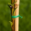 Platte tuindraad, PVC-gecoat 50m x 2mm - 2 ['tuindraad', ' groene draad', ' dunne tuindraad', ' flexibele tuindraad', ' draad met coating', ' PVC-draad', ' gegalvaniseerde draad', ' groene draad', ' bevestigingsdraad', ' spandraad', ' trekdraad', ' gecoate draad']