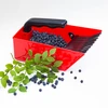 Plukmachine voor kleine vruchten, metalen tanden - 5 ['bessenkam', ' fruitkam', ' plukmachine', ' bessenplukker', ' fruit plukken', ' bessen plukken', ' bessenseizoen']