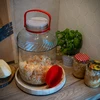 Pot 10 L met plastic deksel - 7 ['10l', ' 10 l', ' 10 liter', ' pot 10 liter', ' pot met plastic deksel', '']