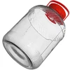 Pot 15 L met plastic deksel - 4 