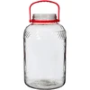 Pot 8 L met plastic deksel - 2 ['grote pot', ' grote sloik', ' grote pot', ' grote pot', ' grote glazen pot', ' pot voor conserven', ' voor fermentatie', ' voor komkommers', ' voor kool', ' industriële pot', ' pot met tang', ' pot tang', ' tang voor komkommers']