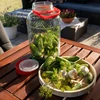 Pot 8 L met plastic deksel - 9 ['grote pot', ' grote sloik', ' grote pot', ' grote pot', ' grote glazen pot', ' pot voor conserven', ' voor fermentatie', ' voor komkommers', ' voor kool', ' industriële pot', ' pot met tang', ' pot tang', ' tang voor komkommers']