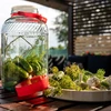 Pot 8 L met plastic deksel - 8 ['grote pot', ' grote sloik', ' grote pot', ' grote pot', ' grote glazen pot', ' pot voor conserven', ' voor fermentatie', ' voor komkommers', ' voor kool', ' industriële pot', ' pot met tang', ' pot tang', ' tang voor komkommers']