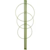 Ringsteun voor planten 3 ringen 0,5m  - 1 ['plantensteun', ' ringsteun voor struiken', ' tuinsteun', ' rozensteun', ' tuinpergola', ' plantklem', ' plantsteun', ' bloemensteun', ' potplantsteun', ' hortensiasteun', ' bosbessensteun', ' klimplantsteun', ' groene steun', ' donkergroene plantensteun', ' stalen plantensteun met ringen']