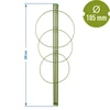 Ringsteun voor planten 3 ringen 0,5m - 2 ['plantensteun', ' ringsteun voor struiken', ' tuinsteun', ' rozensteun', ' tuinpergola', ' plantklem', ' plantsteun', ' bloemensteun', ' potplantsteun', ' hortensiasteun', ' bosbessensteun', ' klimplantsteun', ' groene steun', ' donkergroene plantensteun', ' stalen plantensteun met ringen']