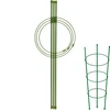 Ringsteun voor planten 3 ringen 0,5m ['plantensteun', ' ringsteun voor struiken', ' tuinsteun', ' rozensteun', ' tuinpergola', ' plantklem', ' plantsteun', ' bloemensteun', ' potplantsteun', ' hortensiasteun', ' bosbessensteun', ' klimplantsteun', ' groene steun', ' donkergroene plantensteun', ' stalen plantensteun met ringen']