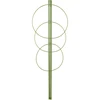 Ringsteun voor planten 3 ringen 0,7m - 12 