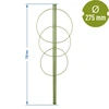 Ringsteun voor planten 3 ringen 0,7m - 2 ['plantensteun', ' ringsteun voor struiken', ' tuinsteun', ' rozensteun', ' tuinpergola', ' plantklem', ' plantsteun', ' bloemensteun', ' potplantsteun', ' hortensiasteun', ' bosbessensteun', ' klimplantsteun', ' groene steun', ' donkergroene plantensteun', ' stalen plantensteun met ringen']