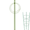 Ringsteun voor planten 3 ringen 0,7m - 13 