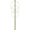 Ringsteun voor planten 3 ringen 1,2m - 9 