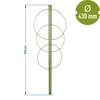 Ringsteun voor planten 3 ringen 1,5m - 2 ['plantensteun', ' ringsteun voor struiken', ' tuinsteun', ' rozensteun', ' tuinpergola', ' plantklem', ' plantsteun', ' bloemensteun', ' potplantsteun', ' hortensiasteun', ' bosbessensteun', ' klimplantsteun', ' groene steun', ' donkergroene plantensteun', ' stalen plantensteun met ringen']