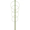 Ringsteun voor planten 4 ringen 1m - 11 