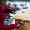 Rokerij met Wi-Fi, 200 L - dragON WOOD 100IQ met elektrische verwarmingsmodule en controller - 15 ['roken', ' eenvoudige rokerijen', ' elektrische rokerij', ' rokerij met wifi', ' voordelen van roken met wifi en app', ' rookapp', ' houten rokerij', ' tuinrokerij', ' beste rokerij', ' rokerij met controller', ' hoe te roken met app', ' welke rokerij te kopen', ' zelfgemaakte vleeswaren', ' rokerij van 200 L', ' hoge rokerij', ' ruime rokerij', ' roken met rookgenerator', ' rookgenerator voor roken', ' rookchips voor roken', ' nieuwigheden voor roken', ' professioneel roken', ' eenvoudig roken', ' hoe een elektrische rokerij te gebruiken', ' browin control', ' rokerij met elektrisch module']