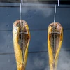 Rookhaken voor vis - drievoudig, 5 stuks - 5 ['rookhaak', ' rookhaak voor rokerij', ' rookhaken', ' visrookhaak', ' rookhaken voor vis']
