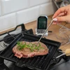 Sonde voor keukenthermometer (185800, 185909) - 5 ['sonde voor culinaire thermometer', ' sonde voor elektronische thermometer', ' reserve sonde', ' meetsensor', ' vervangbare sonde']