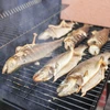 Spaanders voor roken/grillen, appelhout, 450 g, kl. 8 - 13 ['rokerijspaanders', ' spaanders voor roken', ' spaanders voor barbecue', ' spaanders voor grillen', ' rookaroma', ' appelhoutspaanders', ' appelhout spaanders', ' spaanders voor vlees roken', ' spaanders voor rokerij', ' spaanders voor vis', ' spaanders voor lamsvlees', ' spaanders voor varkensvlees']