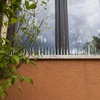 Spikes tegen vogels - 40x9x8,5cm, 3 stuks - 3 ['vogelverschrikker', ' plastic spikes tegen vogels', ' vogelverschrikker plastic spikes', ' spikes tegen duiven', ' spikes voor vensterbank', ' strip met spikes tegen vogels', ' bescherming tegen vogels']