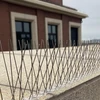 Spikes tegen vogels, op plastic strip, 10 stuks - 12 ['vogelafschrikker', ' anti-vogelspikes', ' spikes tegen vogels', ' metalen afschrikspikes', ' stalen spikes tegen duiven', ' spikes voor vensterbank', ' strip met spikes tegen vogels', ' strip met spikes voor vogels', ' plastic strips voor vogels', ' bescherming tegen vogels', ' bescherming tegen duiven', ' bescherming van gevel tegen vogels', ' vogels afschrikken', ' schone vensterbank', ' spikes op plastic strip', ' set spikes voor vogels', ' effectieve bescherming tegen duiven', ' vogels', ' afschrikspikes voor vogels', ' strips om vogels af te schrikken', ' hoe vogels effectief af te schrikken', ' spikes veilig voor vogels', ' strips met spikes veilig voor vogels']