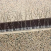 Spikes voor vogels, op metalen strip, 10 stuks - 12 ['vogelafschrikker', ' vogelspikes', ' spikes tegen vogels', ' metalen afschrikspikes', ' stalen spikes tegen duiven', ' spikes voor vensterbank', ' strip met spikes tegen vogels', ' strip met spikes voor vogels', ' roestvrije strips voor vogels', ' bescherming tegen vogels', ' bescherming tegen duiven', ' bescherming van gevel tegen vogels', ' vogels afschrikken', ' schone vensterbank', ' spikes op metalen strip', ' set spikes voor vogels', ' effectieve bescherming tegen duiven', ' vogels', ' afschrikspikes voor vogels', ' strips om vogels af te schrikken', ' hoe vogels effectief af te schrikken', ' spikes veilig voor vogels', ' strips met spikes veilig voor vogels']