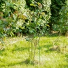 Spiraalvormige stalen stok 1,75m x 6mm - 3 ['stalen plantensteun', ' plantenstok', ' bloemenstok', ' stokken voor potbloemen', ' plantenstok castorama']