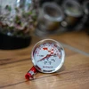Thermometer met dubbele schaal (30°C tot 100°C) / (50°C tot 300°C) 13,0cm - 4 ['temperatuur', ' thermometer voor rookoven', ' rookthermometer', ' thermometer voor roken', ' thermometer voor bakken', ' thermometer voor oven', ' thermometer voor fornuis', ' culinaire thermometer', ' keukenthermometer', ' thermometer voor koken', ' gastronomische thermometer', ' voedselthermometer', ' thermometer met twee temperatuursensoren', ' gecertificeerde thermometer', ' voedselthermometer met sonde', ' vleesthermometer', ' thermometer met sonde', ' keukenthermometer met sonde', ' vleessonde']