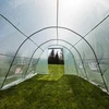 Tuinkas (folie) 3x6x2 m - 13 ['tuinkas', ' tuintunnel', ' foliekas', ' tunnel', ' folietunnel', ' foliekas', ' kleine tuinkas', ' grote tuinkas', ' stevige tuinkassen', ' afsluitbare foliekas', ' tuinkas met ramen', ' huis-tuin kas', ' tuinbroeikas', '']
