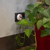 Ultrasone insectenverjager - voor huishoudelijk gebruik - 8 ['afschrikmiddel', ' insectenafschrikker', ' ultrasone afschrikker', ' elektrische afschrikker', ' insectenverjager']