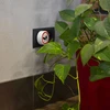 Ultrasoon mierenafschrikmiddel - voor huishoudelijk gebruik - 8 ['afschrikmiddel', ' mierenafschrikmiddel', ' ultrasoon afschrikmiddel', ' elektrisch afschrikmiddel', ' insectenafschrikmiddel']