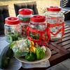 Universele pot 5 L - 8 ['pot voor conserven', ' potten voor conserven', ' gewone pot', ' gewone potten', ' goedkope potten', ' grote pot voor augurken', ' grote pot voor augurken', ' grote pot voor kool']