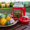 Universele pot 8 L - 8 ['wijnpot', ' inmaakpot', ' wijnpot', ' grote glazen pot', ' voor likeur']