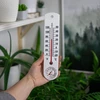 Universele witte thermometer met hygrometer (-20°C tot +50°C) 25cm - 3 ['binnen thermometer', ' kamertemperatuurmeter', ' thermometer voor binnen', ' huistemperatuurmeter', ' thermometer', ' kamertemperatuurmeter', ' thermometer met duidelijke schaal', ' thermometer met hygrometer', ' thermometer van kunststof', ' thermometer met hygrometer']