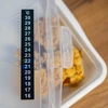Vloeibaar kristal thermometer (+16°C tot +30°C) 13cm - 5 ['voedselthermometer', ' keukenthermometer', ' culinaire thermometer', ' zelfklevende thermometer', ' fermentatiethermometer', ' aquariumthermometer', ' vloeibaar kristal thermometer', ' zelfklevende thermometers', ' wijngaardthermometers', ' bierbrouwthermometers']