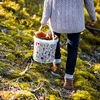 Voedselemmer met deksel 10 L - groentjes - 2 ['tuinemmer', ' emmer met deksel', ' emmer voor de tuin', ' emmer met deksel', ' afsluitbare emmer', ' afsluitbare emmer', ' emmer met opdruk', ' voor paddenstoelen']