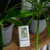 Weerstation - elektronisch, sonde, wit - 4 ['temperatuur', ' omgevingstemperatuur', ' temperatuurregeling', ' binnenthermometer', ' buitenthermometer', ' thermometer buiten']