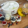 Yoghurtmaker met thermostaat, 7 potten, 1,3 L - 12 ['yogurtmaker', ' apparaat voor yoghurt', ' veganistische yoghurt', ' hoe maak je yoghurt', ' voor zelfgemaakte yoghurt', ' yoghurtmaker met thermostaat', '']