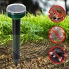 Zonne-energie mollenverjager – effectieve, veilige en humane tuinbescherming, 1 st. - 11 
