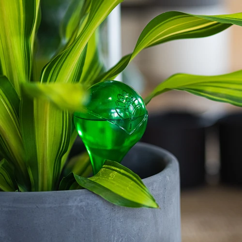 Bewateringsballen voor planten, groen transparant, 400 ml, 4 stuks - 10 ['bewateringsballen', ' bloemenbewateringsdispenser', ' voor het bewateren van bloemen', ' bloemenbevochtigers', ' bloemenbewatering', ' plantenbewatering', ' potbewateringssystemen', ' voor het bewateren van bloemen', ' voor kamerplanten', ' bewateringssysteem', ' bewateringsbal', ' waterdispenser voor potten', ' plantenballen', ' plantendispenser', ' plantenbewatering', ' bewateringsbal', ' groene bewateringsballen', ' transparante bewateringsballen', ' gekleurde bewateringsballen']