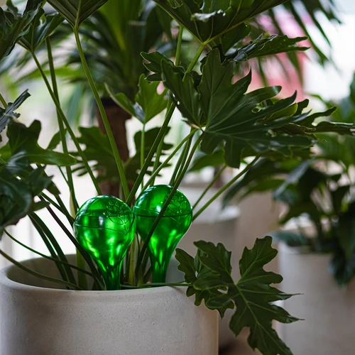 Bewateringsballen voor planten, groen transparant, 400 ml, 4 stuks - 12 ['bewateringsballen', ' bloemenbewateringsdispenser', ' voor het bewateren van bloemen', ' bloemenbevochtigers', ' bloemenbewatering', ' plantenbewatering', ' potbewateringssystemen', ' voor het bewateren van bloemen', ' voor kamerplanten', ' bewateringssysteem', ' bewateringsbal', ' waterdispenser voor potten', ' plantenballen', ' plantendispenser', ' plantenbewatering', ' bewateringsbal', ' groene bewateringsballen', ' transparante bewateringsballen', ' gekleurde bewateringsballen']