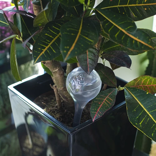 Bewateringsbollen, transparant, 400 ml, 4 stuks - 9 ['bewateringsbollen', ' bloemenbewateringsdispenser', ' voor het bewateren van bloemen', ' bloemenbevochtigers', ' bloemenbewatering', ' plantenbewatering', ' potbewateraars', ' voor het bewateren van bloemen', ' voor kamerplanten', ' bewateringssysteem', ' bewateringsbol', ' waterdispenser voor potten', ' bollen voor planten', ' dispenser voor planten', ' plantenbewatering', ' bewateringsbol']
