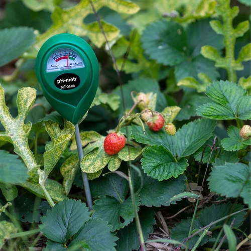 Bodem pH-meter - 11 ['ph-meter voor grond', ' bodemonderzoek', ' grond ph-meter', ' ph van de grond', ' hoe de ph van de grond te controleren', ' hoe de ph van de grond te testen', ' ph-onderzoek van de grond', ' ph-meting van de grond', ' bodemreactie', ' ph-reactie van de grond', ' zuurgraad van de grond']