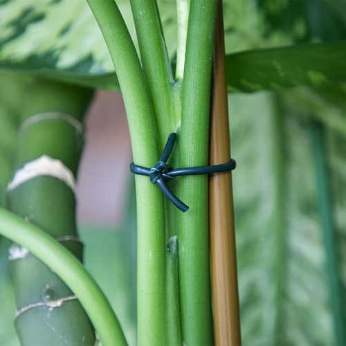 Boomgaardslang, donker groene rubber, 25 m x 3 mm - 3 ['boomgaardslang', ' rubberen slang voor planten', ' slang voor het bevestigen van planten', ' slang voor het bevestigen van boompjes', ' slang voor het binden van planten', ' dunne slang voor bevestiging', ' tuinslang', ' het aanbinden van boompjes en struiken', ' slang voor de tuin', ' slang voor plantstabilisatie', ' verzorgde boomgaard', ' verzorgde tuin', ' het ondersteunen van planten', ' hoe boompjes en struiken te beschermen tegen breken', ' sterke boomgaardslang', ' boomgaardslang 25 meter']