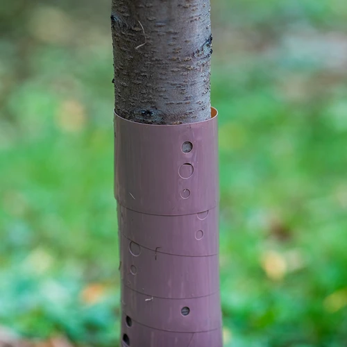 Boomschorsbeschermer - spiraal - fi 3,5 x 80 cm - 3 