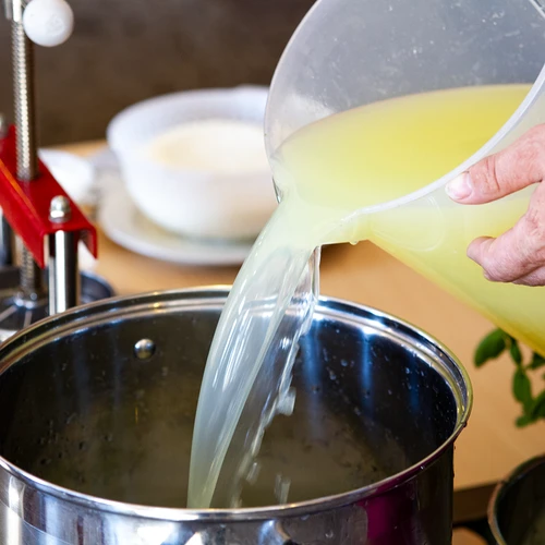 Calciumchloride voor kaas, 10 g - 10