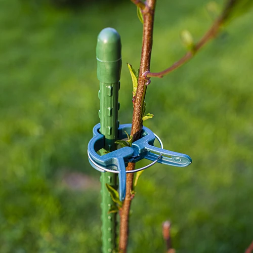 Clips voor het vastmaken van planten 20 stuks (8x groot/12x klein) - 9 ['plantenlabels', ' labels voor plantenbeschrijving', ' voor plantenbeschrijving', ' informatieborden voor planten', ' borden voor planten']