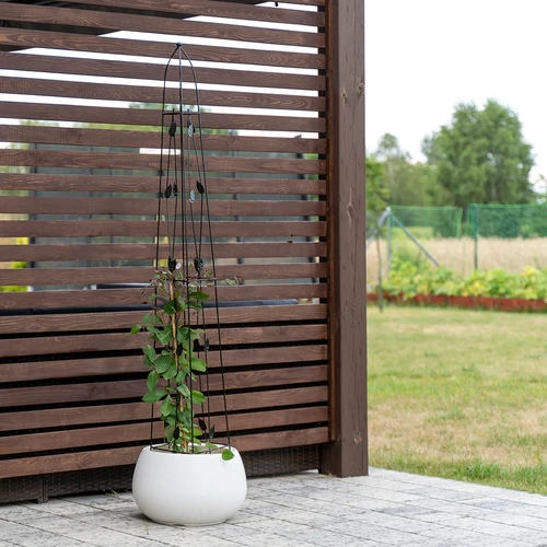 Decoratieve pergola - Piramide, 150 cm - 5 ['plantensteun', ' voor klimplanten', ' voor plantenteelt', ' voor rozen', ' voor tomaten', ' voor struiken']