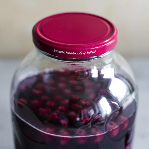 Deksel fi 100 bordeaux - 10 stuks - 6 ['deksels voor potten', ' deksels fi 100', ' goede deksels voor potten', ' deksels voor potten browin', ' deksels voor potten', ' schroefdoppen voor potten', ' twist-off deksels', ' TO deksels']