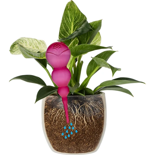 Drievoudige bewateringsbal (driekamer), transparant roze, 600 ml - 3 ['bewateringsballen', ' bloemenbewateringsdispenser', ' voor het bewateren van bloemen', ' bloemenbevochtigers', ' bloemenbewatering', ' plantenbewatering', ' potbewateraars', ' voor het bewateren van bloemen', ' voor kamerplanten', ' bewateringssysteem', ' bewateringsbal', ' waterdispenser voor potten', ' plantenballen', ' plantendispenser', ' plantenbewatering', ' bewateringsbal', ' drievoudige bewateringsballen', ' decoratieve plantenbewateraars', ' praktische bewateringsballen', ' ruime bewateringsballen', ' transparante doorzichtige bewateringsballen', ' gekleurde bewateringsballen voor planten', ' roze plantenballen']