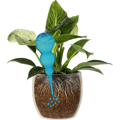 Drievoudige gietbal (driekamer), transparant blauw, 600 ml - 3 ['gieters', ' bloemen waterdispenser', ' voor het water geven van bloemen', ' bloemenbevochtigers', ' bloemenirrigatie', ' plantenirrigatie', ' potirrigators', ' voor het water geven van bloemen', ' voor kamerplanten', ' irrigatiesysteem', ' gietbal', ' waterdispenser voor potten', ' plantenballen', ' plantenwaterdispenser', ' planten water geven', ' gietbal', ' drievoudige gietballen', ' decoratieve plantenirrigators', ' praktische gietballen', ' ruime gietballen', ' transparante doorzichtige gietballen', ' gekleurde gietballen voor plantenirrigatie', ' blauwe plantenballen']